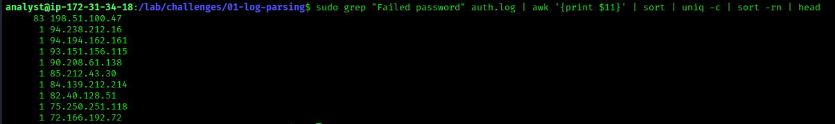 Terminal output showing brute force IP discovery