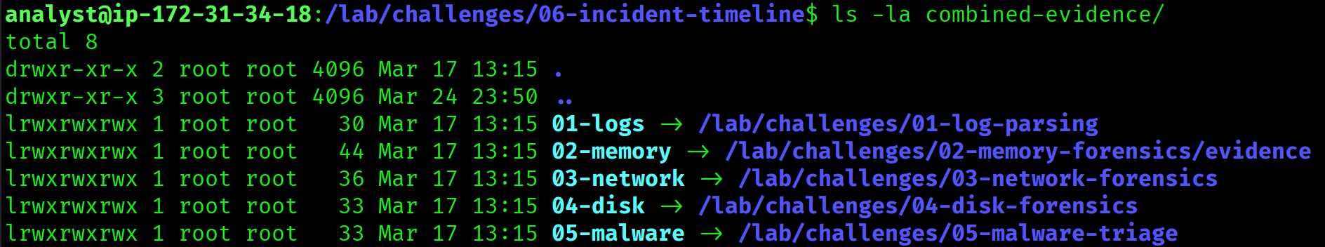 Evidence directory listing all source files available for the challenge