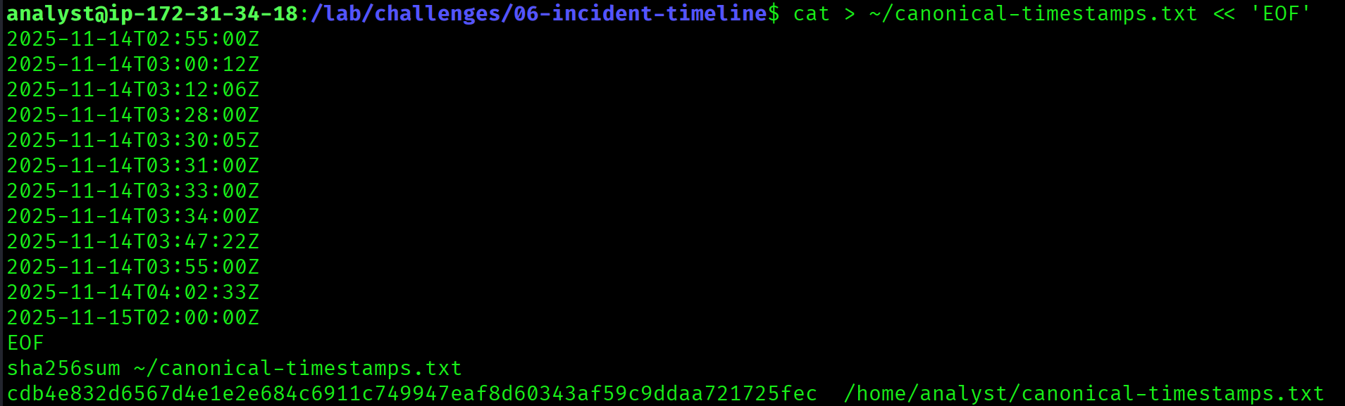 Initial sha256sum attempt on timeline.txt