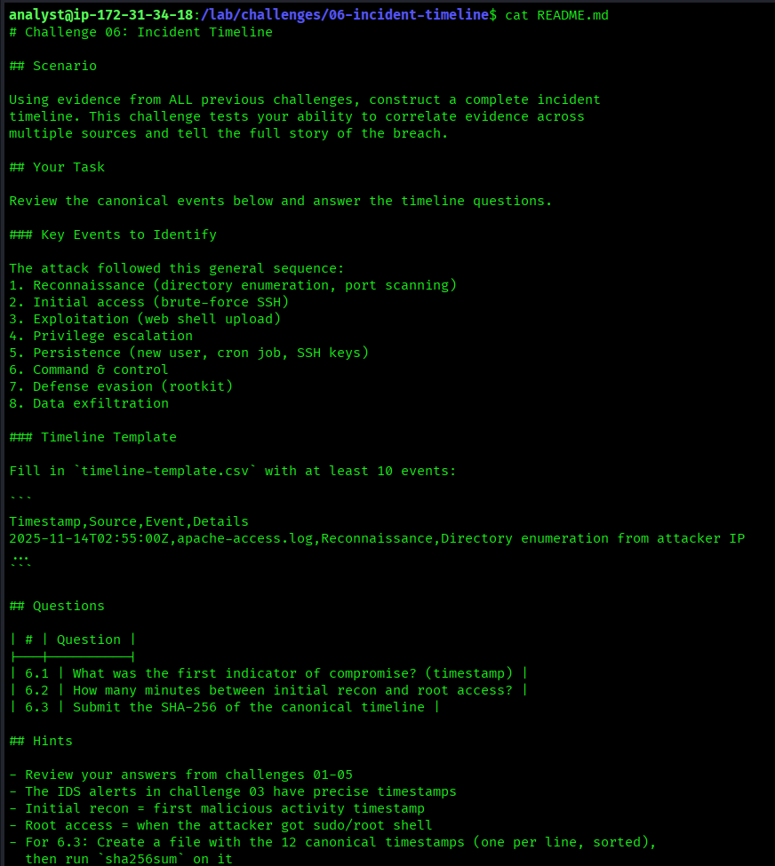 Challenge 06 instructions showing the three flags and task requirements
