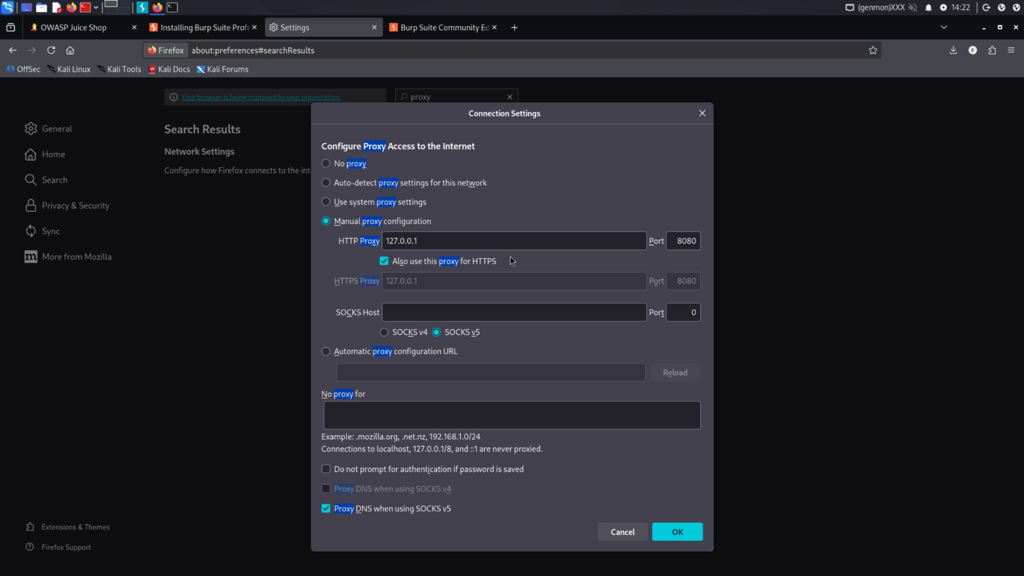 Setup and recon: firefox proxy config