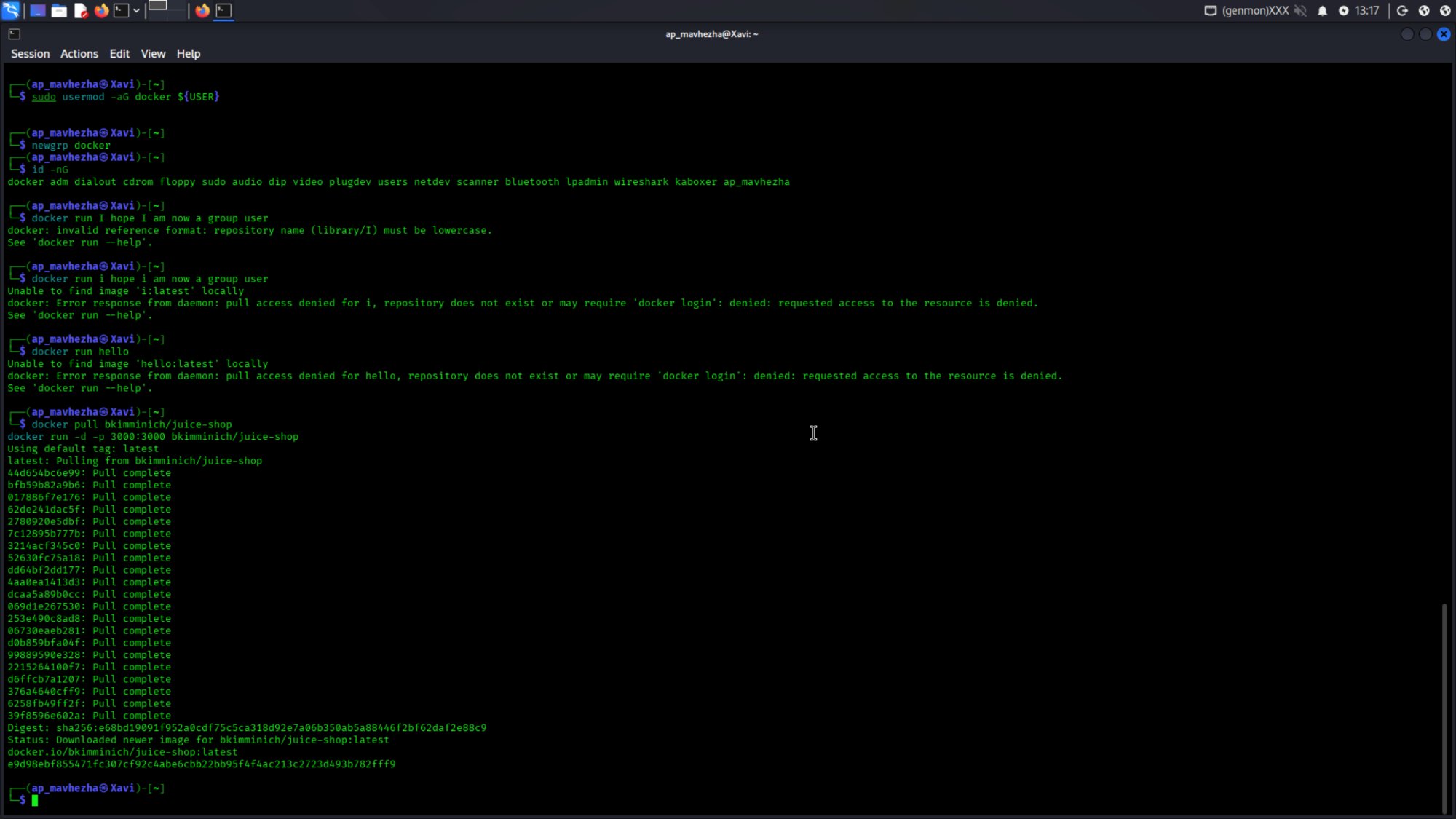 Setup and recon: add docker group juice shop pull