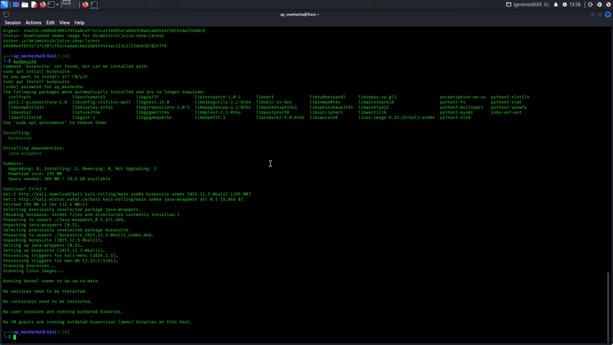 Setup and recon: burpsuite install command